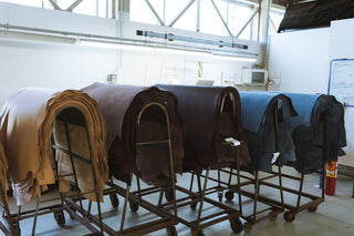 Pascolo's Secret: Bull Hide